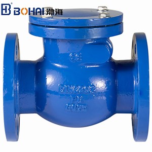 [Hot Item] Flanged Rubber Disc Check Valve