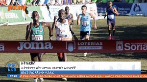 የሰኞ ምሽት የስፖርት ዜናዎች | AMN-Addis Media Network