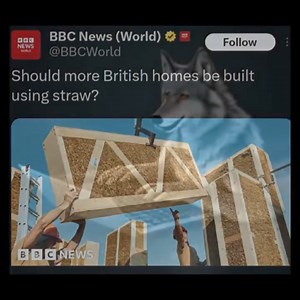 167K views · 3.8K reactions | Big bad wolf moment | Mordecai 4 | Facebook