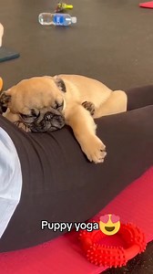 16K views · 689 reactions |  Música: Upbeat Fun Ukulele Músico: REDproductions URL: https://pixabay.com/music/-positive-hopeful-upbeat-fun-ukulele-hope-pleasure-music-16525/ | El Amor desde Mi Infinito hasta Tu Eternidad | Facebook