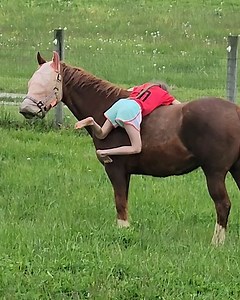 The horse is so patient with her 🐴🥰 | Furry Tails