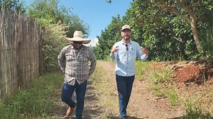 CHÁCARA PARAÍSO DAS FRUTAS PRODUZINDO COM CASA 3 QUARTOS E FÁCIL ACESSO R$ 890 MIL-Código:2395 Chácara medindo 36.000 metros no município de Carlópolis norte do Paraná, muito conhecido pela grande aptidão de fruticultura devido sua altitude, topografia e qualidade da terra, a chácara fica as margens do asfalto a 3,5 km do centro da cidade (5 minutos de carro), tem wi fi já instalado, uma casa com 3 quartos humilde precisando de reparos, tem 370 pés de abacate e 240 pés de goiaba já produzindo, a