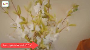 9.7K views · 425 reactions | Novela El Amor Esta En El Aire on Reels | Facebook