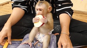 118K views · 9K reactions | Smart Baby Sono Hold Haft Of Apple Eating, Very Cute Baby Sit On Mom Eating | Monkey Kid | Facebook
