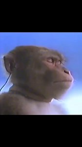 43K views · 2.6K reactions | Head Over Heels | Stranger | Facebook