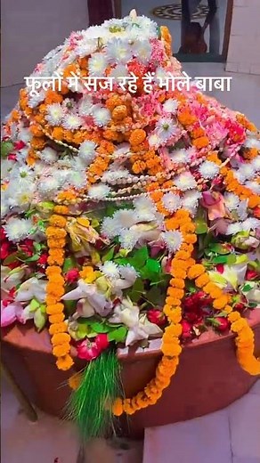 #जब सास ही धड़कती हो बाबा इस सिने में..