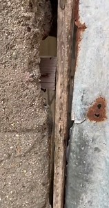 Map kaka misye ap vin banm problem Mwen pran misye nan latrine nan tou 😂😂😂😂 | Kounene kune KAPtv