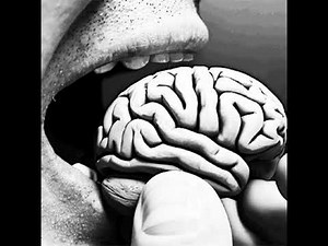 Neuronal Networks: The Salience Network