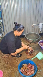 191K views · 1.9K reactions | Potong daging tikus atau bahasa kenyahnya netek sin belalau putih eko | Sara Tenggang | Facebook