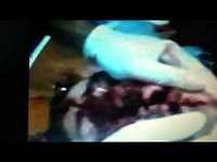 Man Splits Face Open Diving Video