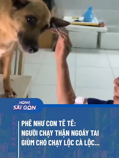 ẺM HẠNH PHÚC QUÁ TRỜI LUÔN #HongSaiGon #ManEnt #tiktoknews #svg #fyp