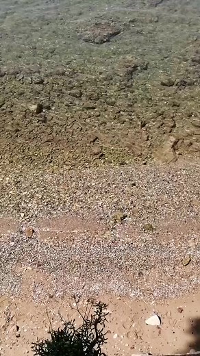 2K views · 79 reactions | Nea Chora, Chania  #CreteInsiders #CreteChania | Crete Insiders | Facebook