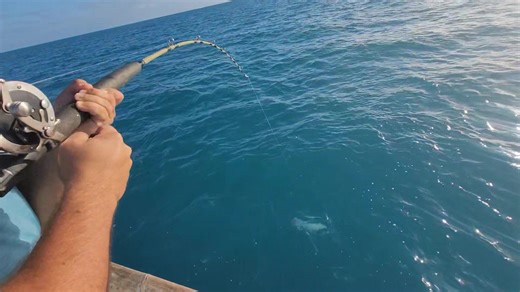 SUNSETS........AND MUTTON SNAPPER | FishMonster Key West