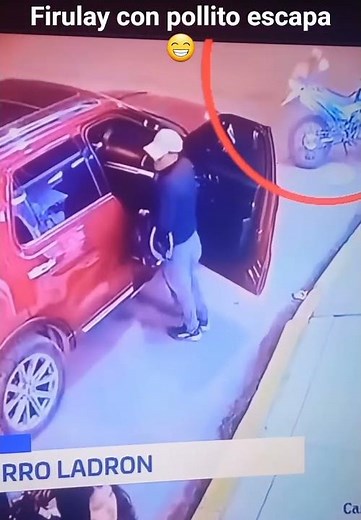 Perro lleva comida para el calandraca. Calavera .el muerto de hambre 🤣