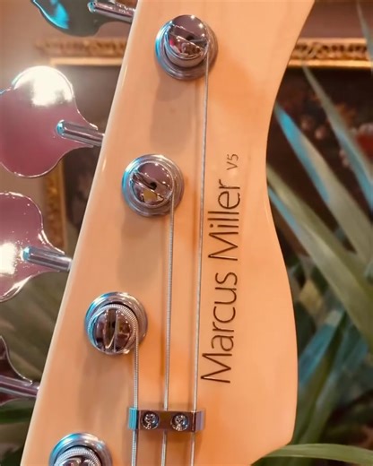 1.5K views · 103 reactions | Combining vintage style and comfort. Our V5-24 is the latest addition in our V-series. Availble in 4-string and 5-string variants. #MarcusMiller #SireV524 #SireSpotlight Thanks to @estudio54santiago (IG) | Sire USA | Facebook