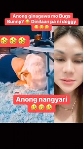 1.5M views · 2.9K reactions | #pitbull #rabbit #bunny #funnybunny | Michelle Reyes | Facebook