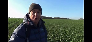 1.2K views · 90 reactions | Lovely to get a shout out from the...