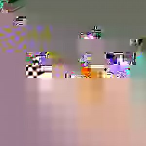 Más de 137.000 perros y gatos fueron abandonados el año pasado en España Antes de tener una mascota, piénsatelo 2 veces. 😉🐶🐱 | Cabronazi