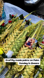 2K views | Earlier in Jamaica Queens. Presentation of the Blessed Virgin Mary Church in Jamaica Queens Palm Sunday procession from Rufus King ParkBlessed Palm Sunday. #PalmSunday #PalmSunday2025 #HolyWeek2025 #holyweek #Catholic #catholicchurch | Little Guyana-592 News | Facebook