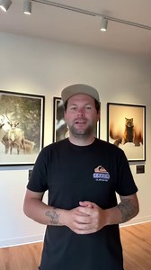 1.9K views · 24 reactions | Our 2024 Canadian Wildlife Photography of the Year competition officially closes on July 31, 2024 at 11:59 p.m. EST! Click the link below to learn more about the categories and to enter.  https://cwpy24.canadiangeographic.ca/ We reached out to our 2023 grand prize winner, JC Lemay Photo, who spoke about his winning shot. | Canadian Geographic | Facebook