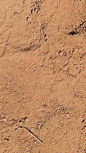 3.1K views · 93 reactions | Gray Ghost of Africa! #Kudu #bushveld #bowhunting #southafrica | Tom Miranda Hunting Safaris | Facebook