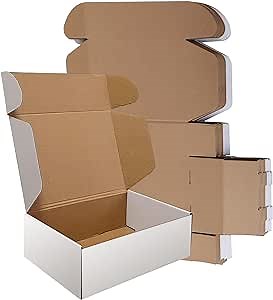 12x9x4 inches Shipping Boxes Set of 20, 10 Pack White and 10-Brown Corrugated Cardborad Box for Small business