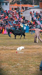 747K views · 1.9K reactions | Fiesta Taurina corrida de toros #bravos #etoros | Zona Folk Film | Facebook
