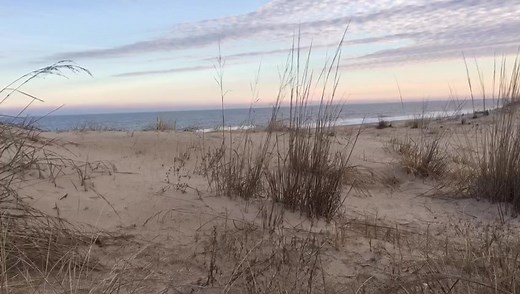 63K views · 4.1K reactions | May you always have a shell in your pocket and sand in your shoes. | The Beach Is My Happy Place | Facebook