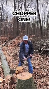 Splitting Stingy Beech Firewood With The Chopper One Axe! This sounds AWSOME! | Hard Working Man
