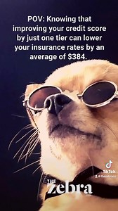 Even with the exact same driving record, drivers with bad credit can pay an average of $1500 MORE than drivers with good credit. Learn how to lower your rates at the 🔗 in our bio. | The Zebra