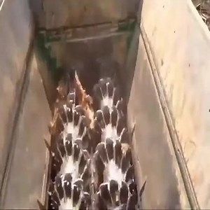 The best large tree shredder Join: Heavy Equipment | Top Grind - TG