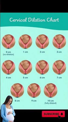 Cervix Dilation Chart #pregnancy #cervix #pregnancyweekbyweek #weekspregnant