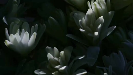 𝐌𝐘 𝐖𝐀𝐘 𝐈𝐍𝐓𝐄𝐍𝐒𝐄 𝐁𝐘 𝐆𝐈𝐎𝐑𝐆𝐈𝐎 𝐀𝐑𝐌𝐀𝐍𝐈 | 40% OFF (hasta agotar stock) | Paris Perfumes