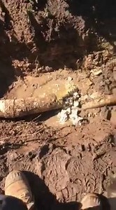 12K views · 53 reactions | Is that cheese? Courtesy Johnny A.A.ABBCO Plumbing and Drainage | Plumbers Choice | Facebook