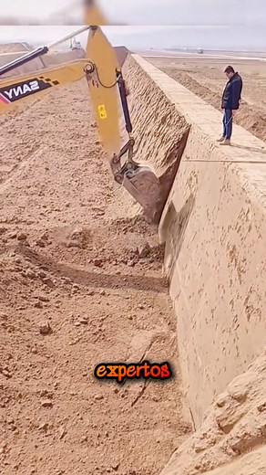 Solo el 5 % de las personas comprende lo versátiles que son las excavadoras. #ExcavatorSkills #ConstructionLife #fblifestyle | Chef Luisa Fernanda