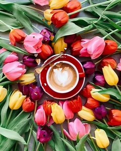 14K views · 2.2K reactions | ☕ | Škrinjica | Facebook