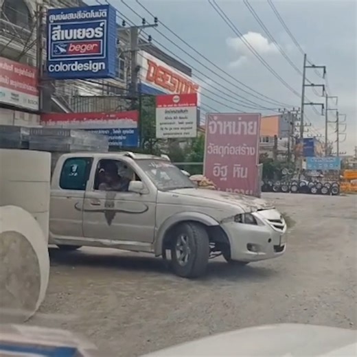 19K views · 827 reactions | Bán tải Vios, nó nó là anh guộccc của bán tải WIGO! | TROLL XE | Facebook