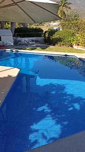 1.3K views · 18 reactions | MANZANILLO COLIMA Renta de casas vacacionales Tenemos distintas opciones Casas ,villas o bungalows Son distintas opciones   OCUPAMOS SABER PARA QUE FECHAS Y PARA CUANTAS PERSONAS PARA COTIZAR Reservaciones y cotizaciones 3321799407 | Renta De Casas Vacacionales | Facebook