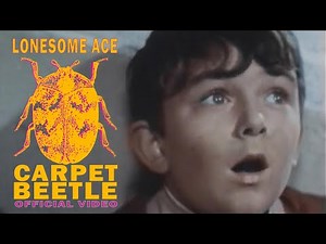 Carpet Beetle - Official Video