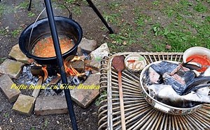 Reţetă VIDEO Cum se face vestita ciorbă de peşte dobrogeană