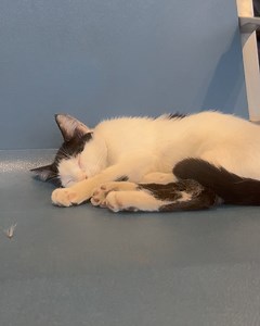 Déborah François on Reels