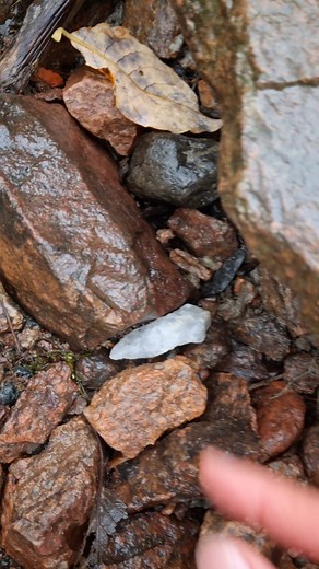 Beautiful white rocks/stones in the river 💎☺️ #quartz #mineral #rocks #stones | Marietta M. Hobbies