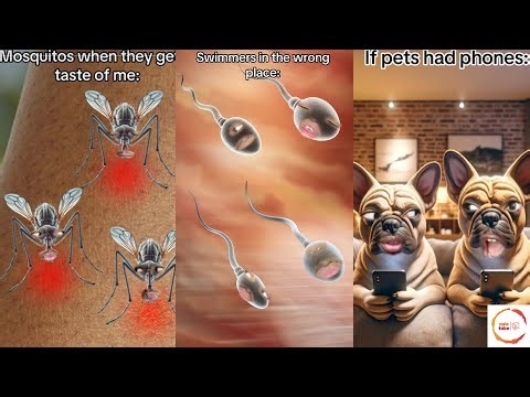 its Dimpey Funniest Shorts Compilation 2024. || Best of its Dimpey Tiktok Mashup.