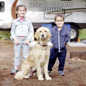 We have several mid-week spots open for camping through June! Book your site at santeelakes.com. PS- There are also several Sunday-Friday Cabins available.😊 | Santee Lakes