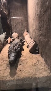 256K views · 3.3K reactions | Did you know Egyptians mummified...