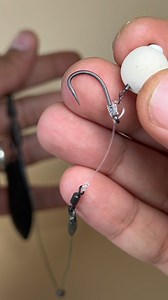 17K views · 2.3K reactions | ✅ Want to catch #carp effectively in a...