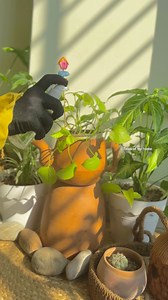24K views · 417 reactions | DIY plant stakes / Garden decoration idea  #indoorplants #plantstakes #viralreels | Tales of my home | Facebook