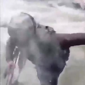 Indian Army 🇮🇳❣️❤️ | Regiment Diaries