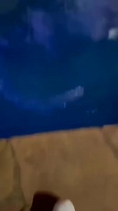 Intenta no reírte, fallas hilarantes 🤣 | Marco Lys