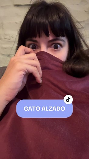 La vida con un gato alzado: ¡demasiados celos!